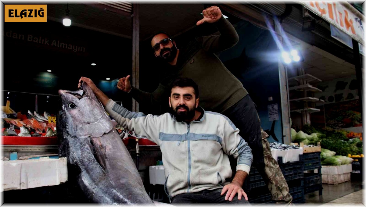 Dev orkinos görenleri hayretler içinde bıraktı