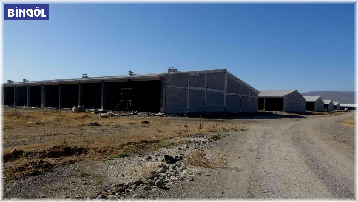 Devlet destekli yatırımla 4 bin kişi istihdam edilecek