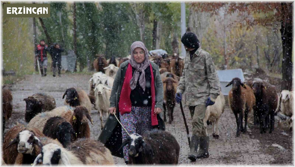 Devletten destek alan kadın çiftçi hayvan varlığını 2 katına çıkardı