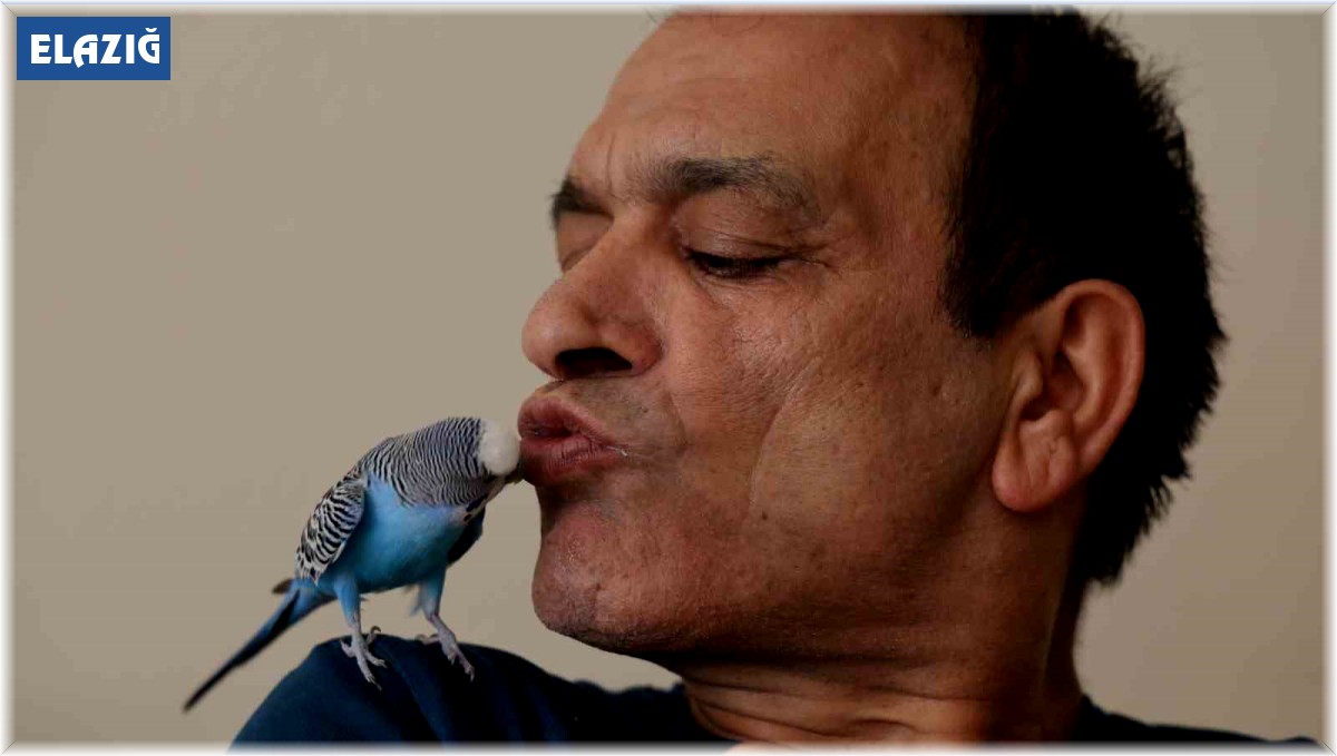 Dinleyen kulaklarına inanamıyor: Muhabbet kuşundan ''Sayın Cumhurbaşkanı Recep Tayyip Erdoğan'' tiradı