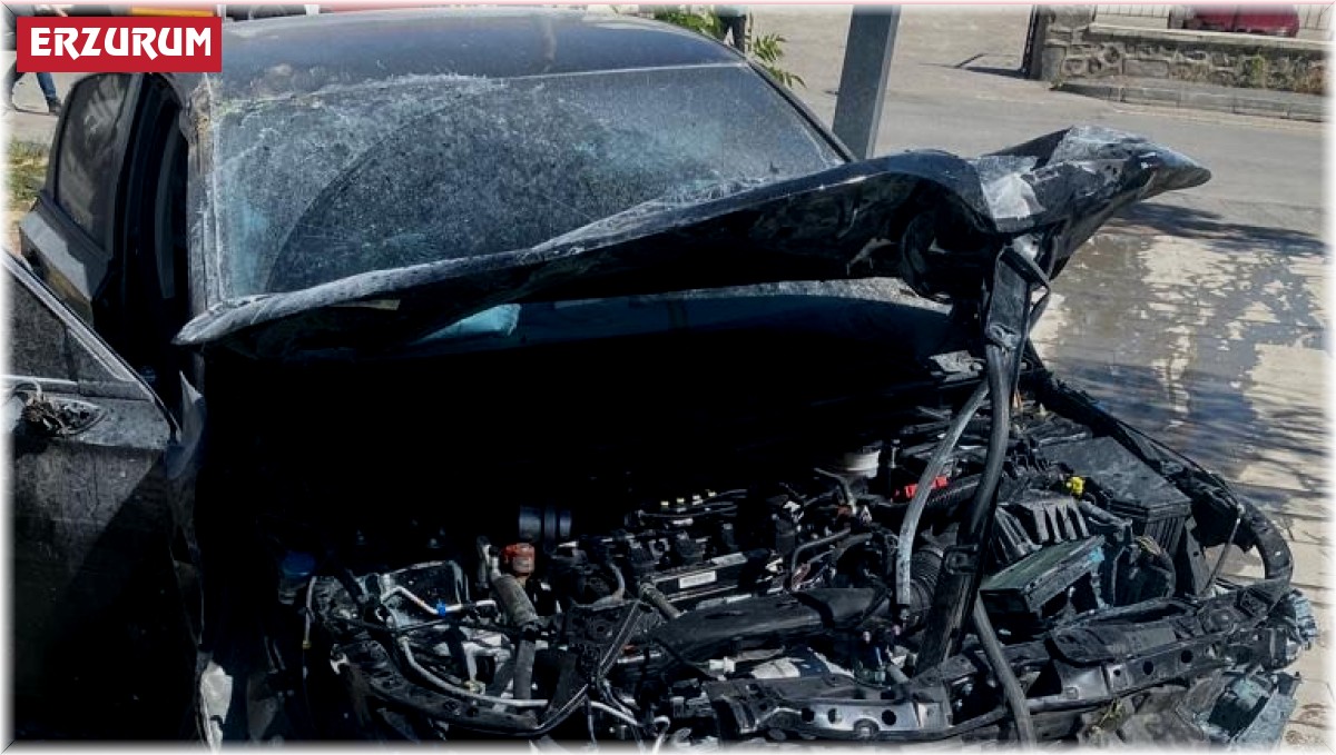 Direksiyon başında epilepsi krizi geçirdi, ortalık savaş alanına döndü