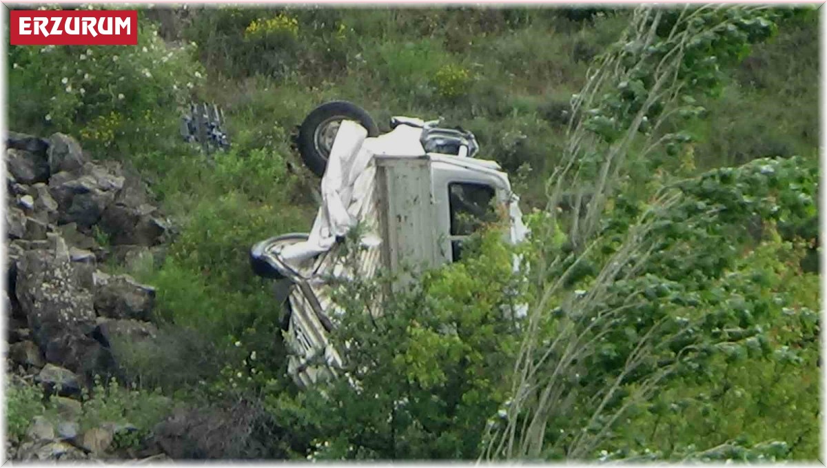 Direksiyon hakimiyeti kaybedilen kamyonet şarampole uçtu