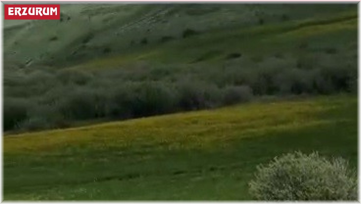 Direksiyon hakimiyeti kaybolan otomobil şarampole uçtu