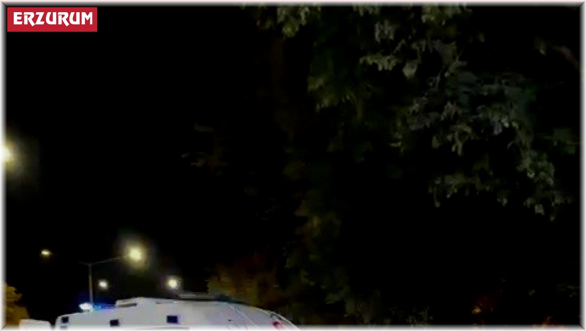 Direksiyon hakimiyetini kaybeden otomobil park halindeki araca çarptı