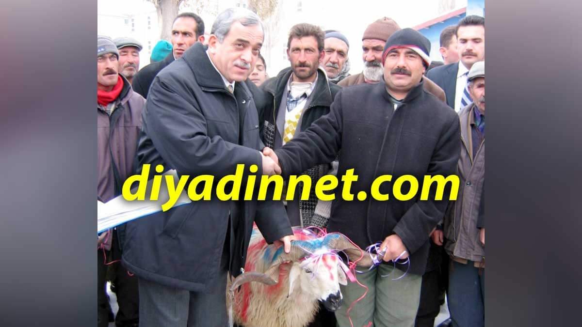 Diyadin'de 21 Aileye Umut Olan Destek: 231 Koyun ve Koç Dağıtıldı