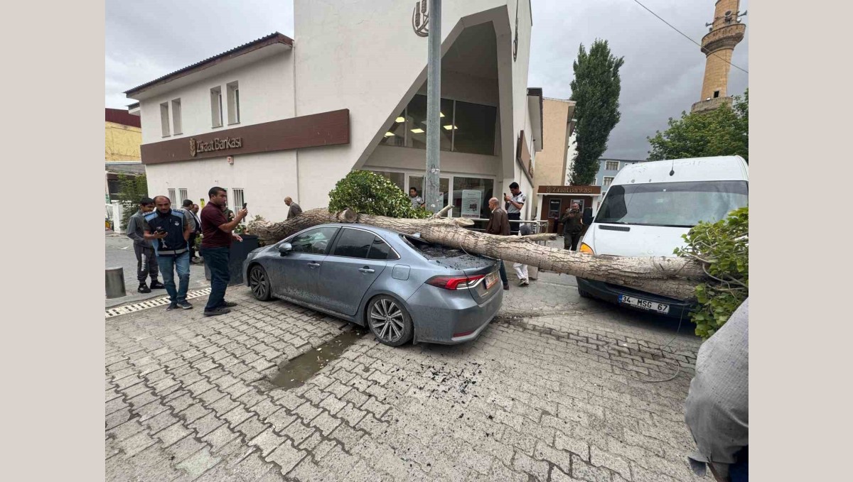 Diyadin'de ağaç devrildi araç hasar gördü