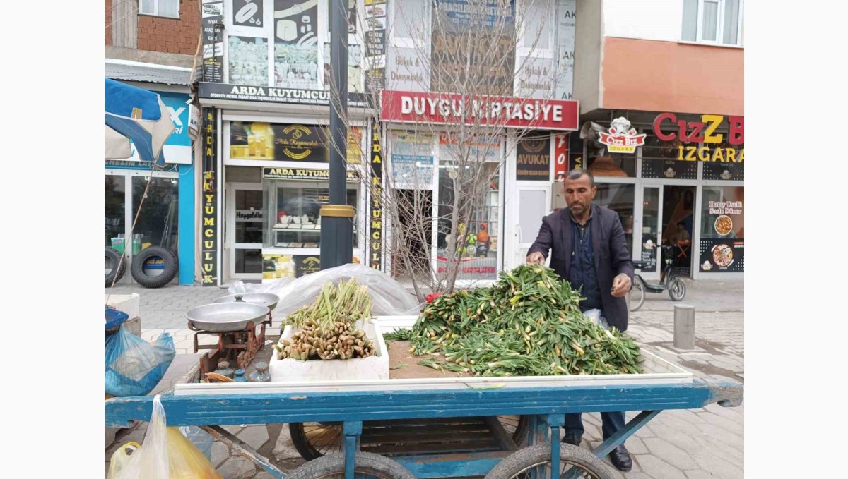 Diyadin'de baharın müjdecisi ışkın ve çiriş tezgahları süslüyor