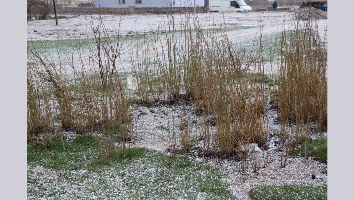 Diyadin'de dolu yağışı etkili oldu