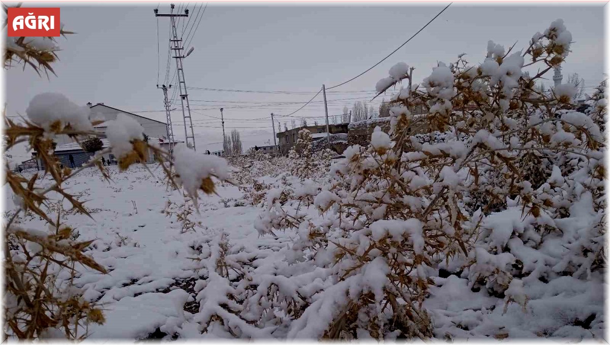 Diyadin'de kar yağışı