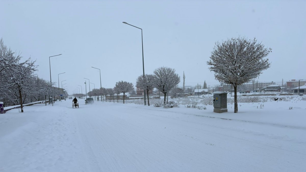 Diyadin'de kar yağışı hayatı olumsuz etkiledi