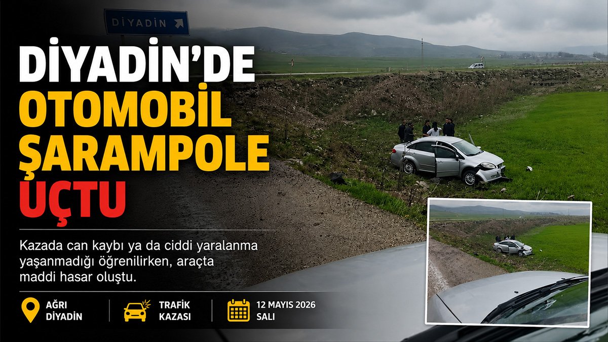Diyadin'de kontrolden çıkan otomobil şarampole uçtu