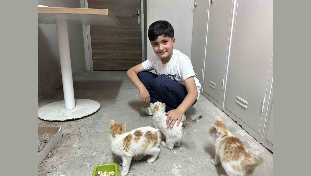 Diyadin'de Öğrenciler Annesiz Kalan 3 Yavru Kediye Sahip Çıktı