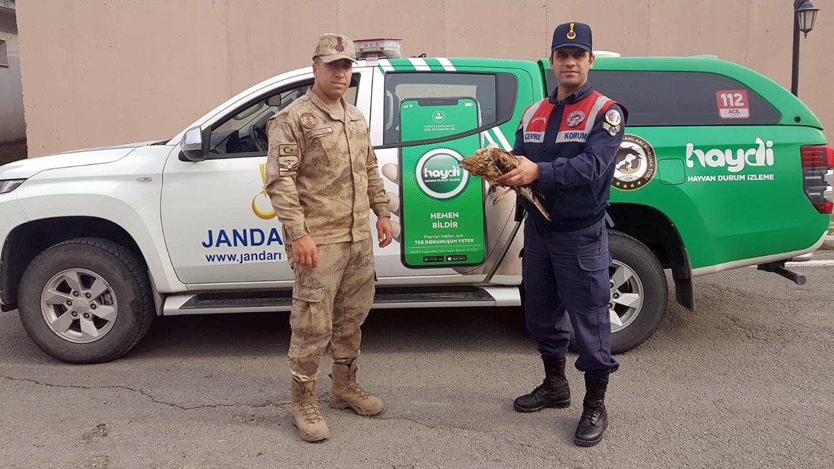Diyadin'de yaralı bulunan şahin tedavi altına alındı