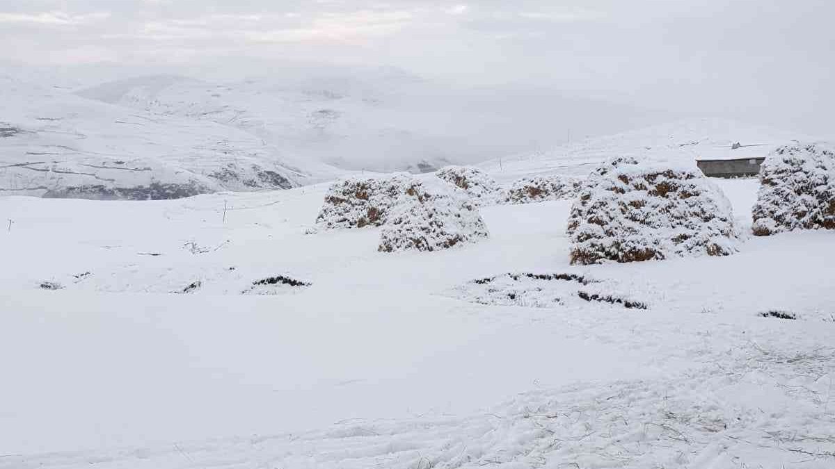 Diyadin'e mevsimin ilk karı yağdı