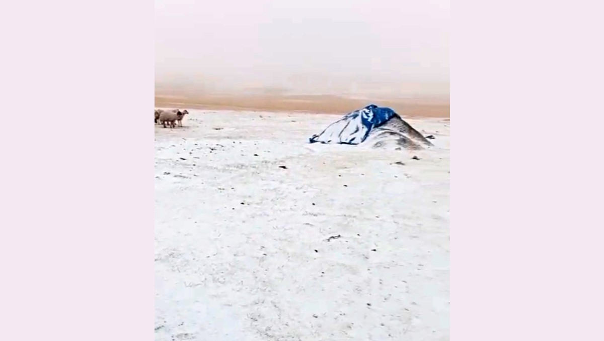 Diyadin'in Zeynel Köyünde Eylül Ayında Kar Sürprizi