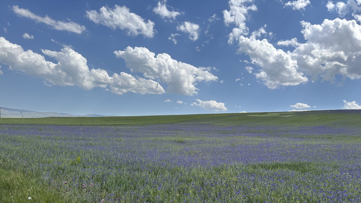 Diyadin'in zirveleri mor ve maviye büründü