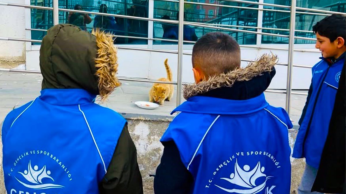 Diyadinli gençler dondurucu soğukta sokak hayvanları için mama bıraktı