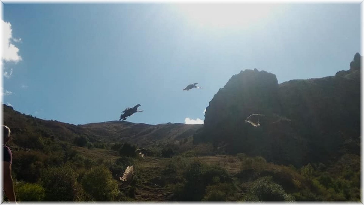 DKMP Genel Müdürlüğü’nce Kars’a 400 kınalı keklik gönderildi