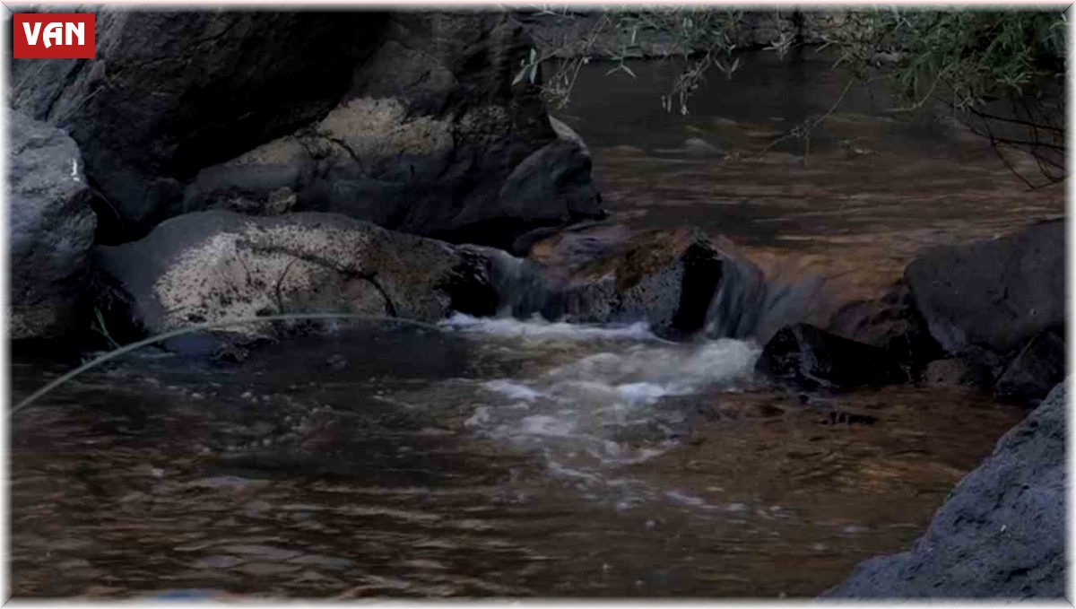 Doğa fotoğrafçısı Deliçay'da çöp topladı