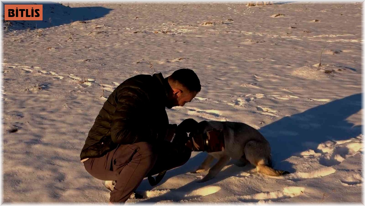 Doğa fotoğrafçısı Vedat Atlı'dan yaban hayatı için çağrı