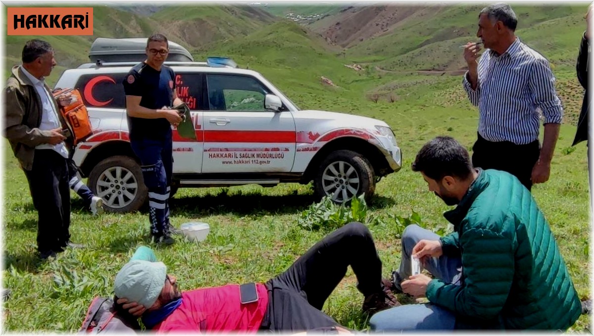 Doğa gezisine çıkan şahsı engerek yılanı ısırdı