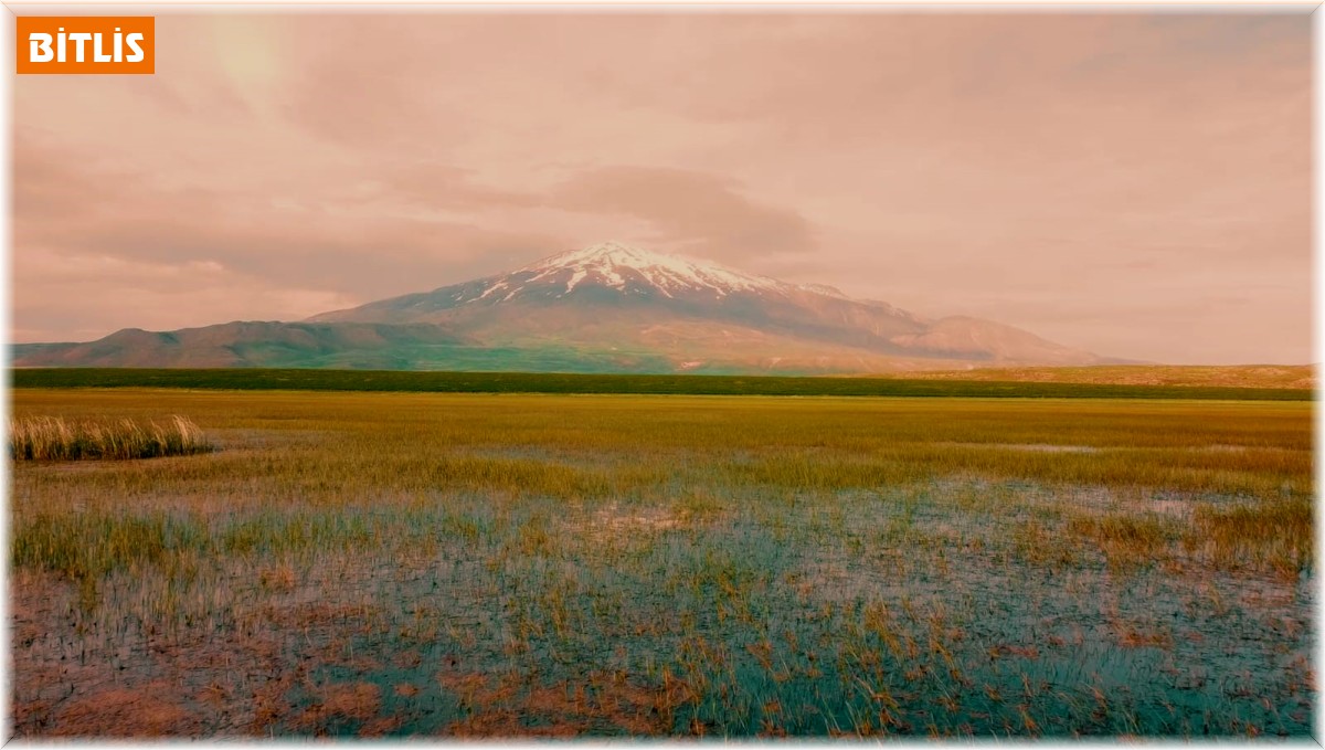 Doğa harikası Sütey Yaylası'nda renk cümbüşü