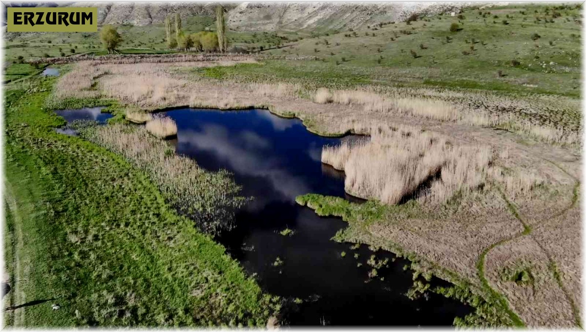 Doğa harikası 'Yüzen Adalar' manzarasıyla göz kamaştırıyor