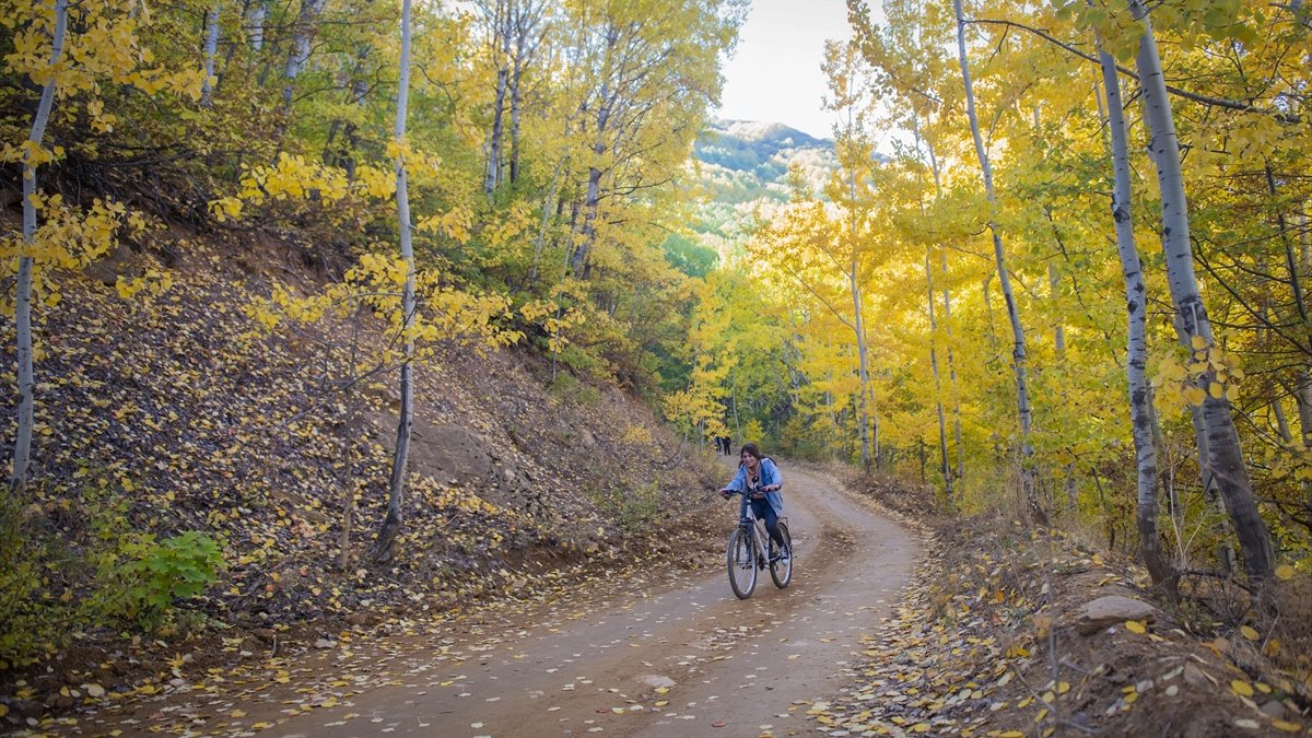 Doğa tutkunları Tunceli'deki Salördek ormanlarında stres atıyor