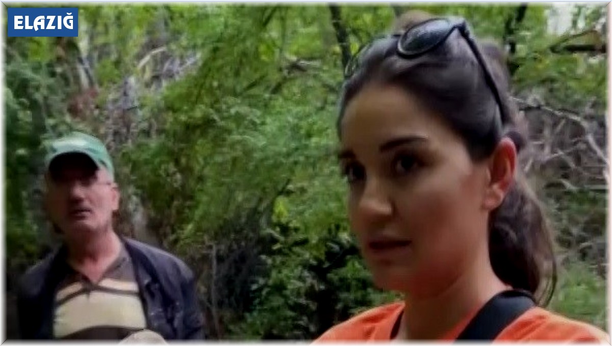 Doğa yürüyüşü sırasında bitkin düşen akbaba buldular