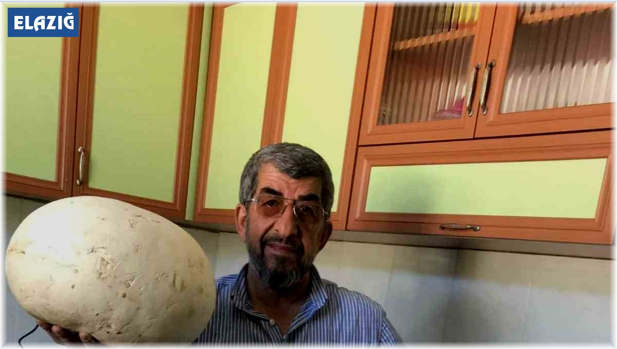 Doğada gezintiye çıkan köylüler 4 kiloluk dev mantar buldu