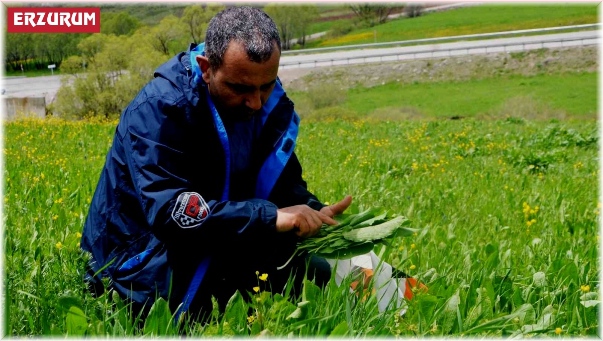 Doğadan sofralara gelen lezzetler
