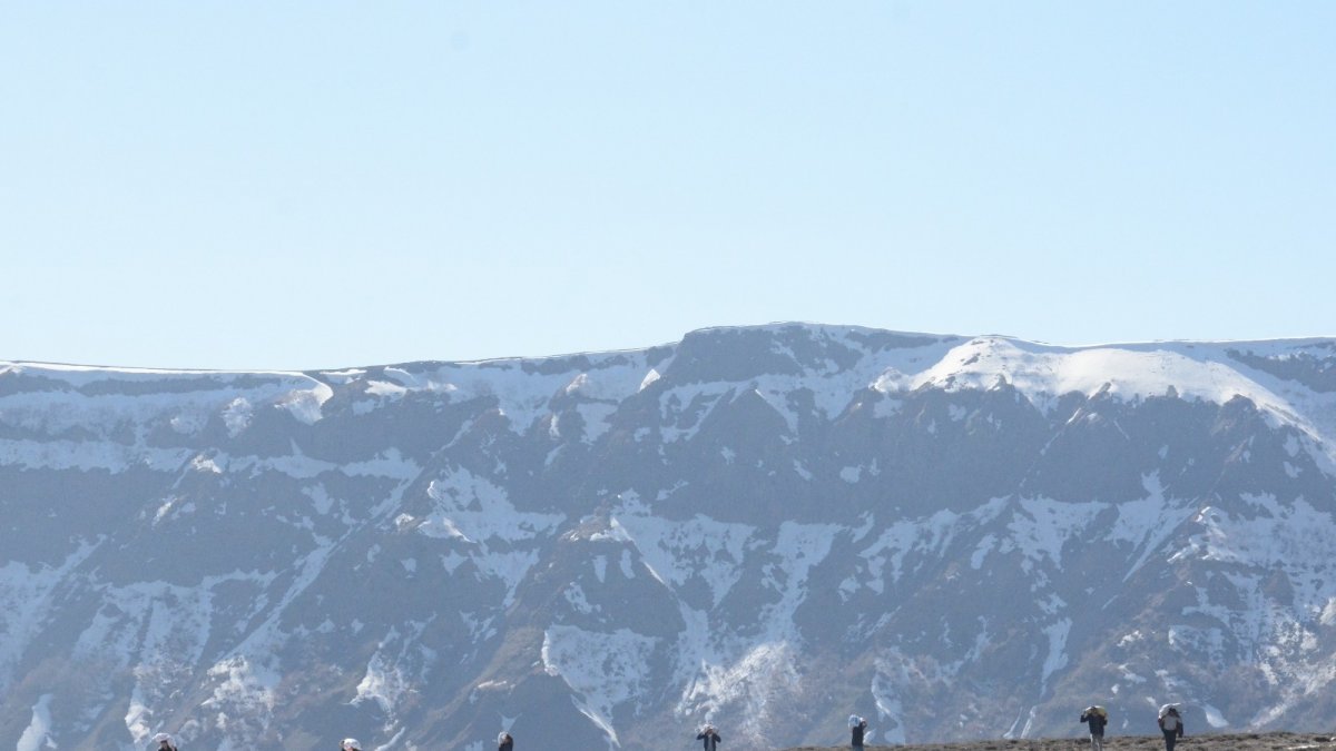 Doğal pancar için soluğu yaylalarda aldılar