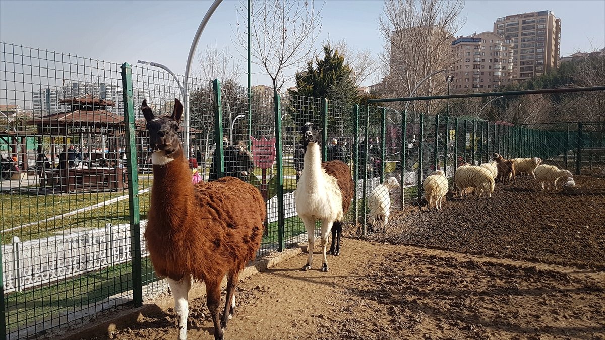 Doğal Yaşam Parkı ailelerin ve çocukların ilgi odağı olmaya devam ediyor