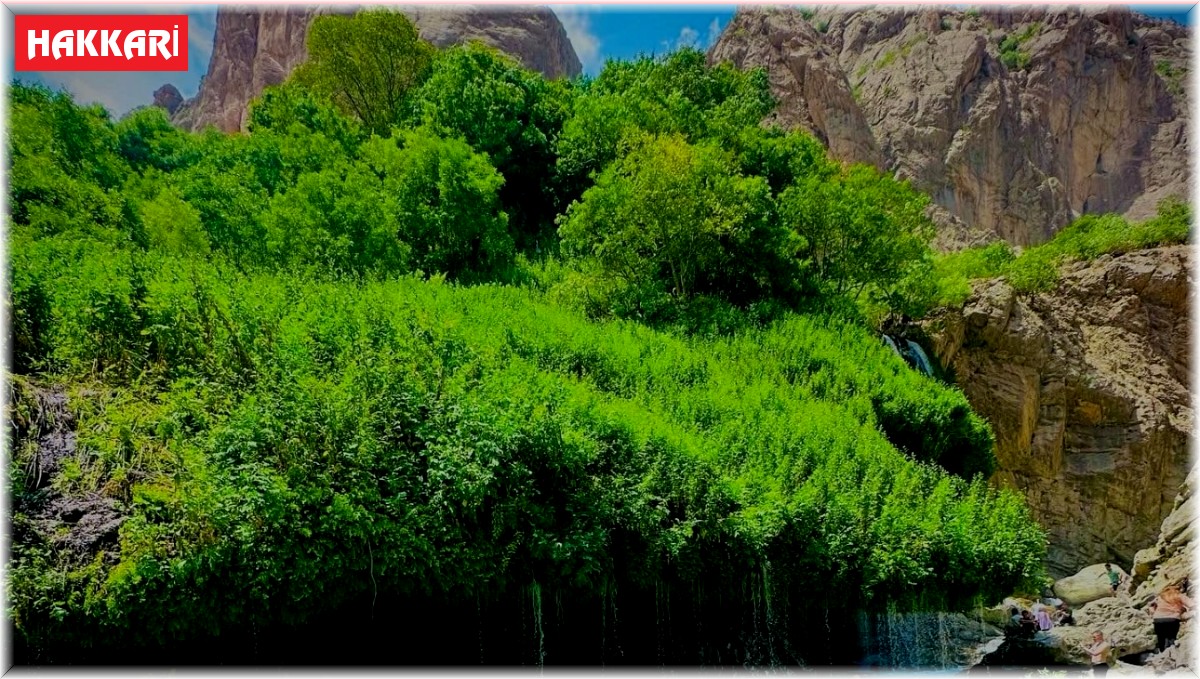 Doğaseverler Hakkari'yi keşfediyor
