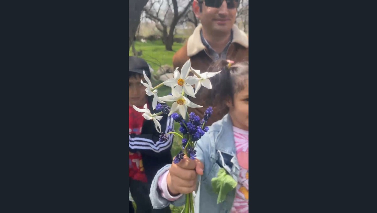 Doğaseverler zerrinkadeh çiçeğine dikkat çekmek için yürüdü