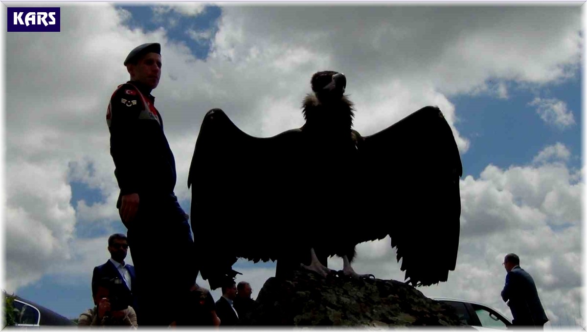 Doğaya bırakılan akbabadan özgürlük pozu