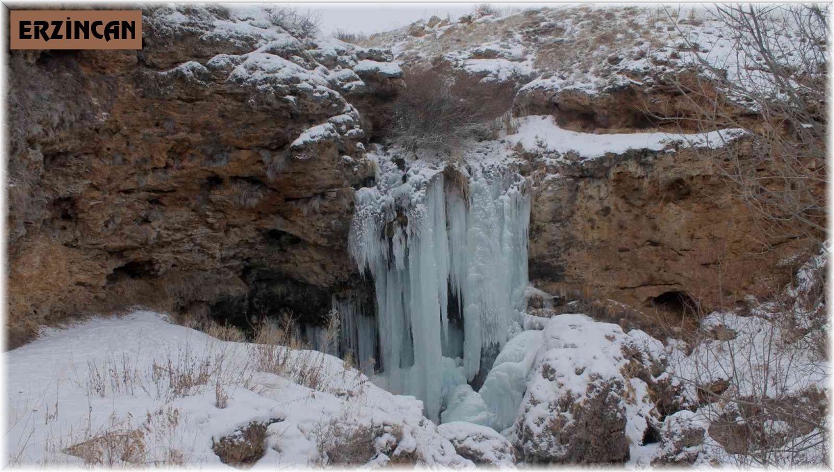 Doğu Anadolu buz tuttu
