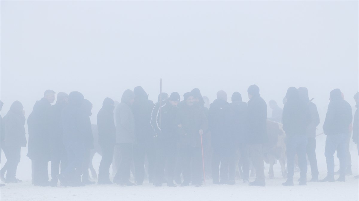 Doğu Anadolu'da 6 ilde 192 yerleşim yerine ulaşım sağlanamıyor