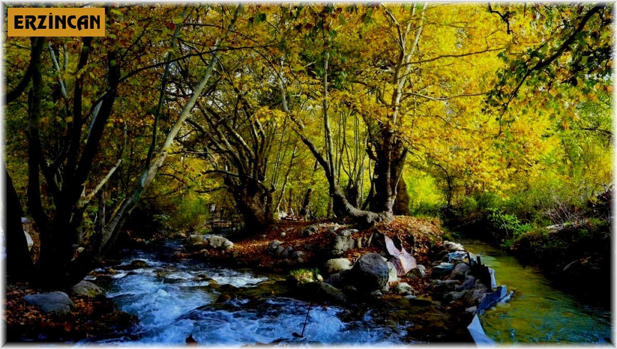 Doğu Anadolu'da en yüksek sıcaklık Kemaliye'de en düşük sıcaklık Erzurum Doğu Anadolu Gözlemevi'nde ölçüldü