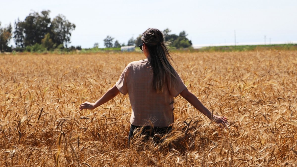 Doğu Anadolu'da hava sıcaklığı mevsim normallerinin üzerine çıktı