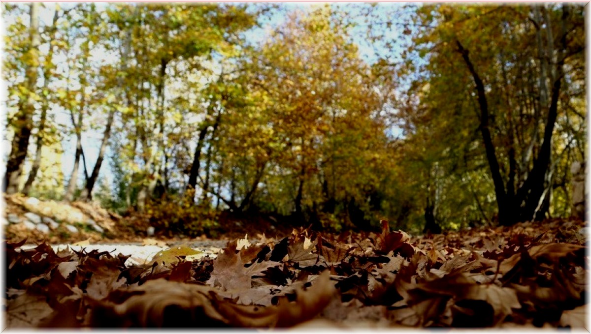 Doğu Anadolu'da mevsim normallerine göre sıcaklık artarken Çarşamba kar geliyor