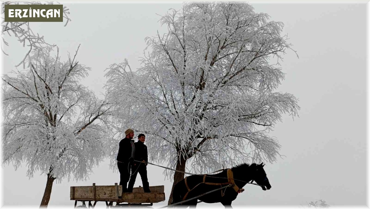 Doğu Anadolu'nun yüksek kesimlerinde kar yağışı
