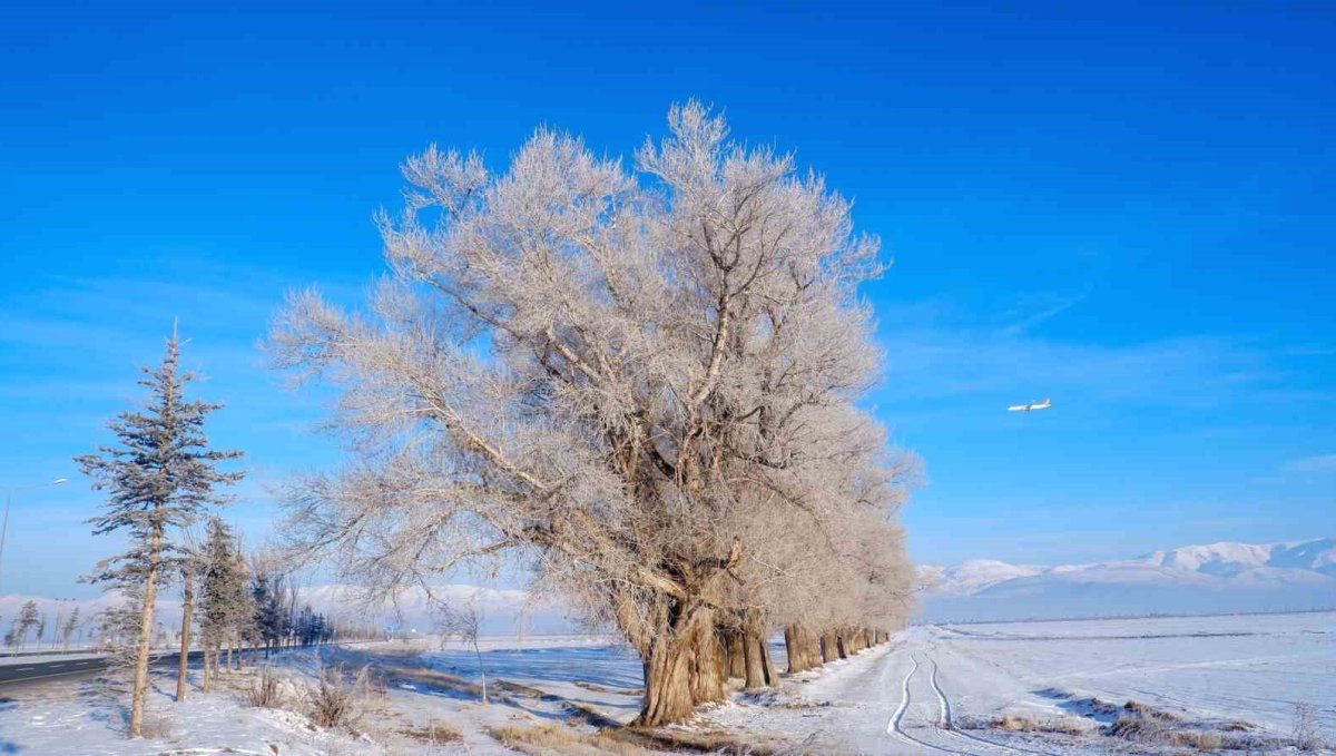 Doğu Anadolu’da dondurucu soğuk: Göle’de sıcaklık eksi 27,5 dereceye düştü
