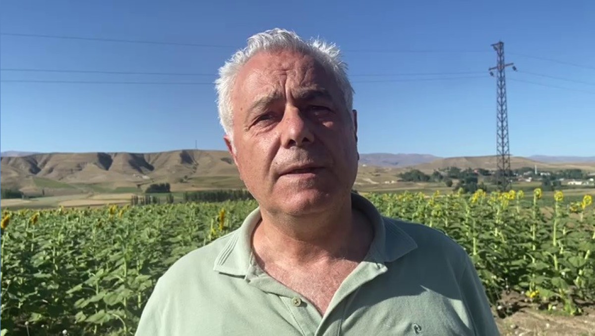 Doğu'da ayçiçeği ve mısır üretimi artıyor