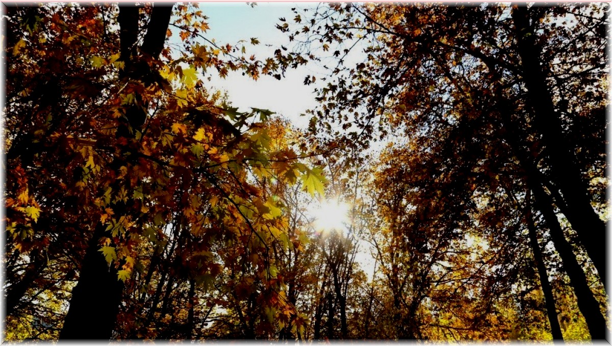 Doğu'da en yüksek sıcaklık Erzincan'da en düşük sıcaklık Ardahan'da kaydedildi