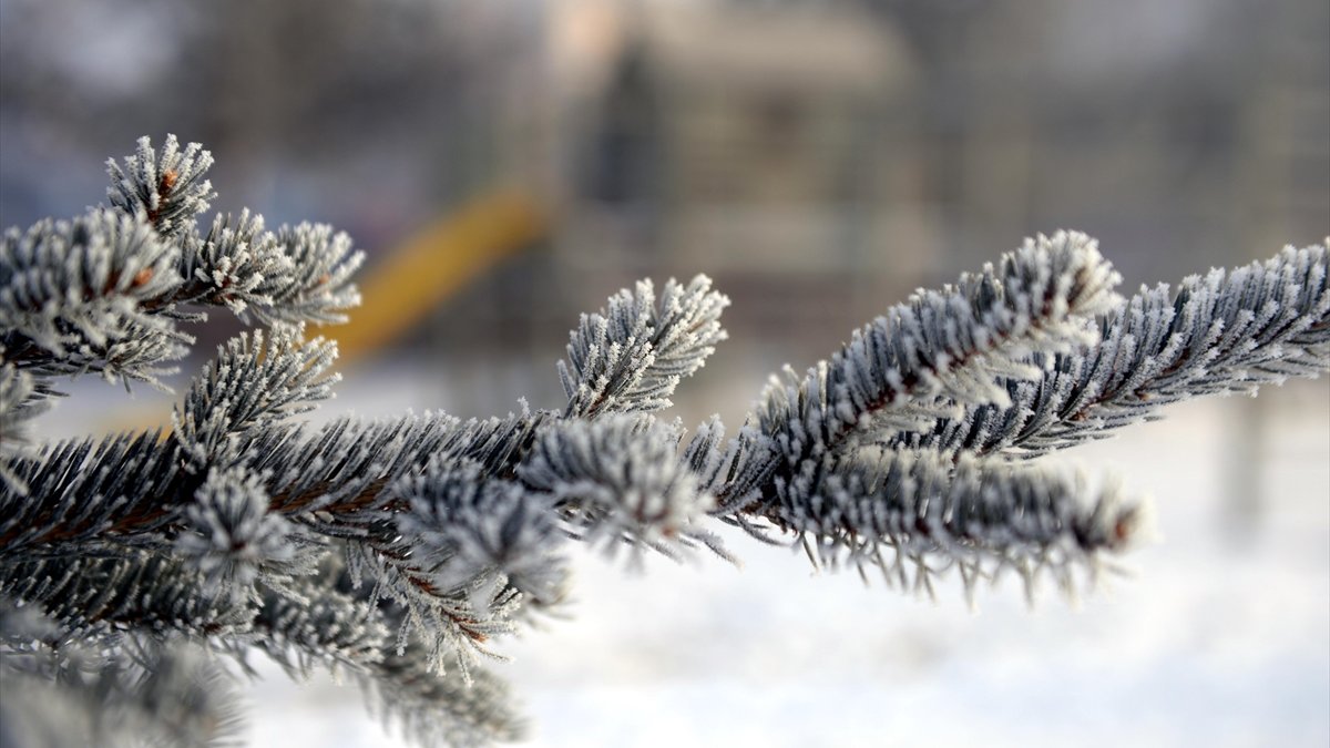 Doğu'da gece en düşük hava sıcaklığı Eksi 18 Dereceyle Ağrı'da ölçüldü