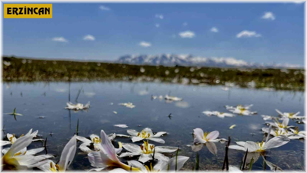 Doğu'da hava soğuyacak