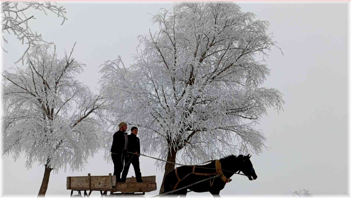 Doğu'da havalar soğuyor