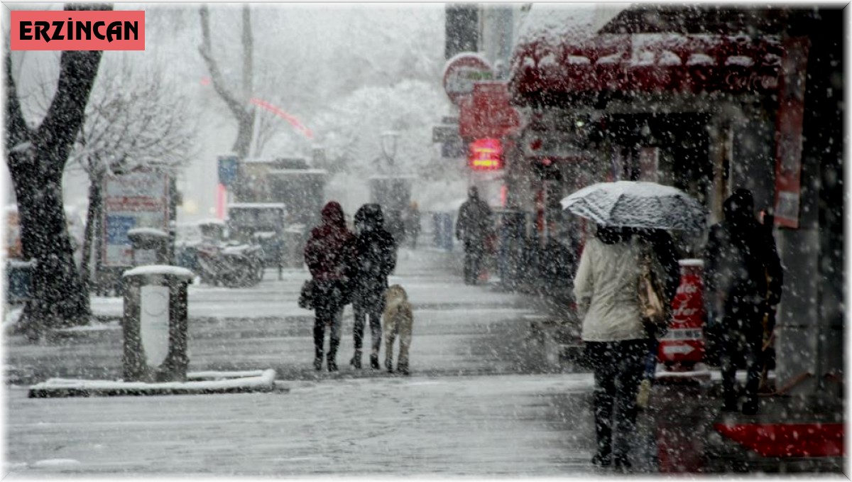 Doğu'da kar, tipi, fırtına uyarısı