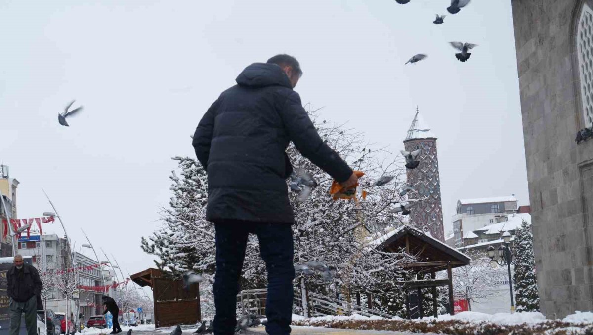Doğu'da kar yağışı devam ediyor